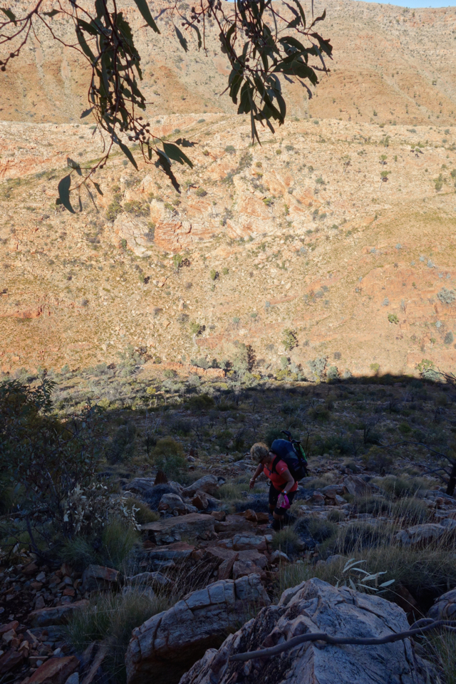 2014_07_17 Larapinta (Day 6) - 020