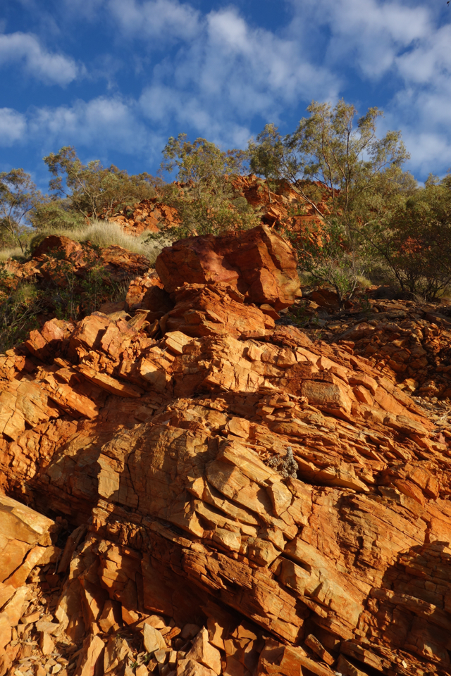 Larapinta - Best off - 096