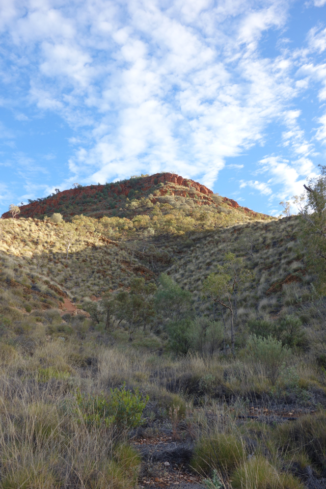 Larapinta - Best off - 100