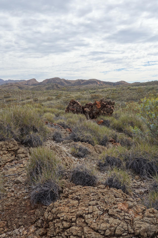 Larapinta - Best off - 120