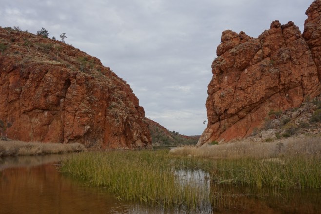 Larapinta - Best off - 139