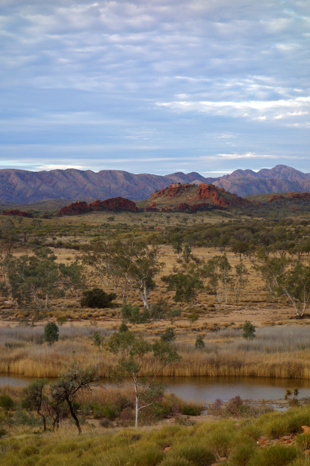 Larapinta - Best off - 003