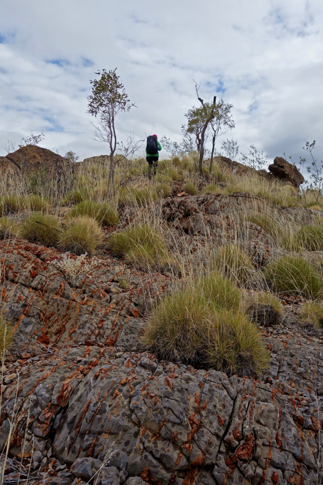 Larapinta - Best off - 018