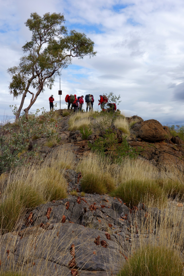 Larapinta - Best off - 019