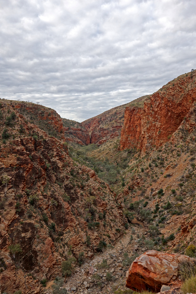 Larapinta - Best off - 023