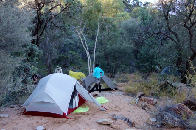 Larapinta - Best off - 038