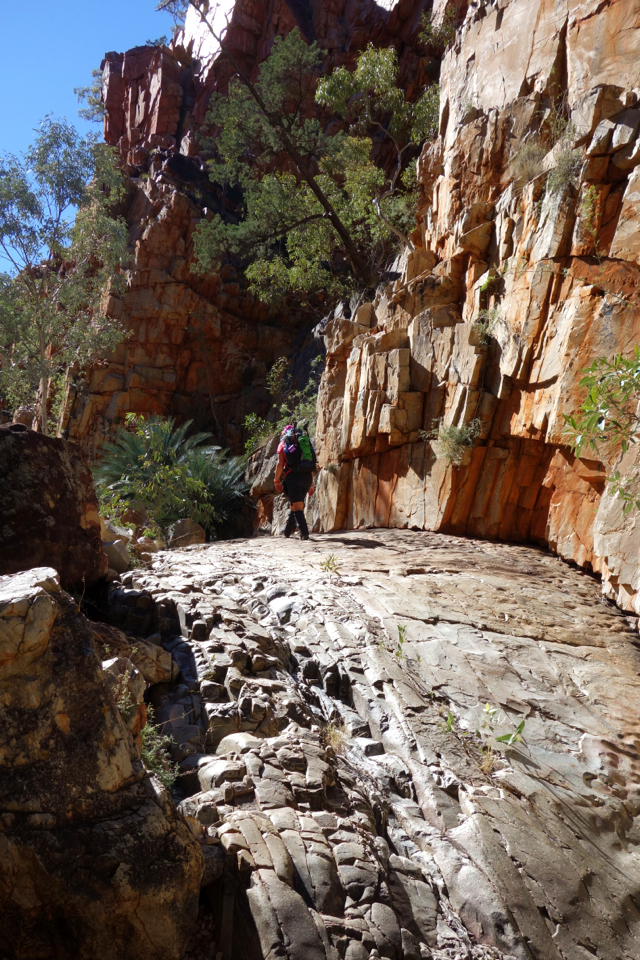 Larapinta - Best off - 042