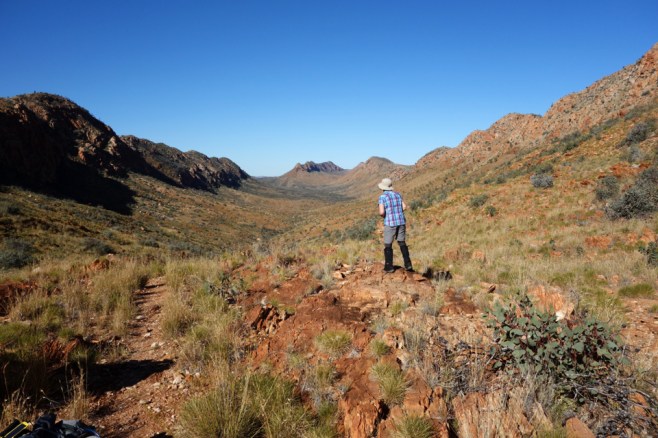 Larapinta - Best off - 052