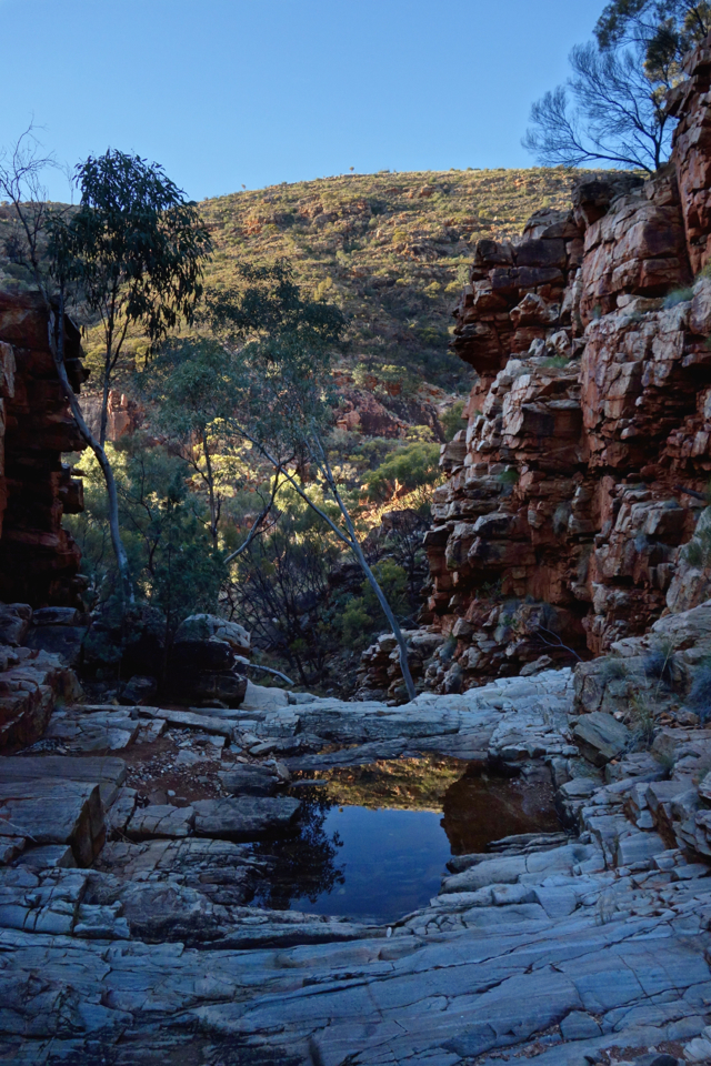 Larapinta - Best off - 055