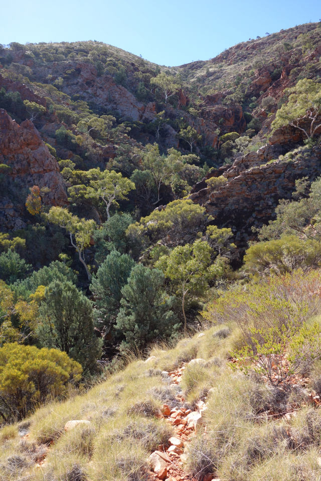 Larapinta - Best off - 078