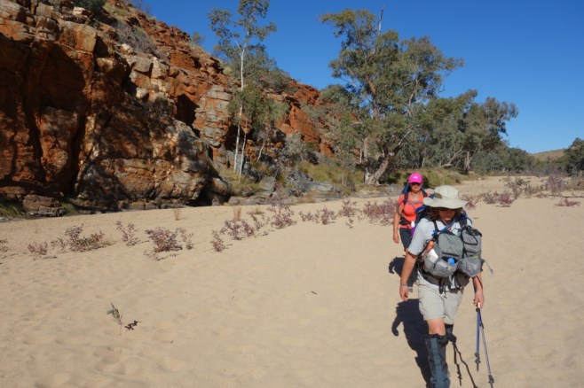 Larapinta - Best off - 084