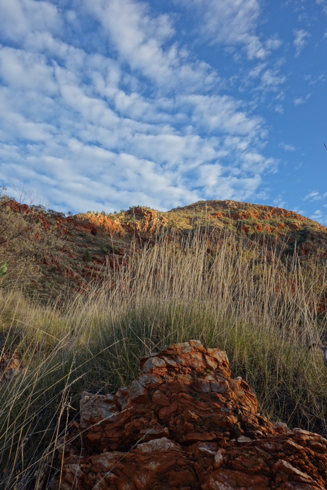 Larapinta - Best off - 090