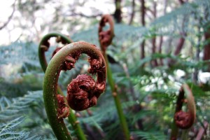 Click to visit More Photo's!