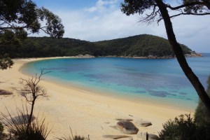 Click to visit More Photo's!